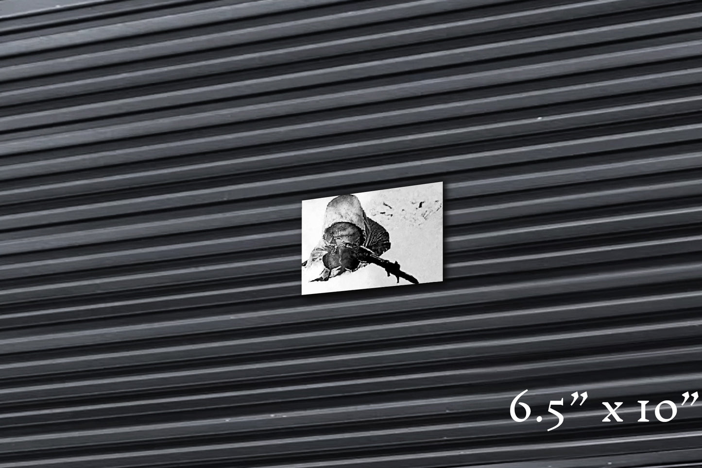 Finnish Reaper - Metal Print