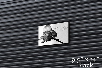 Finnish Reaper - Canvas Print