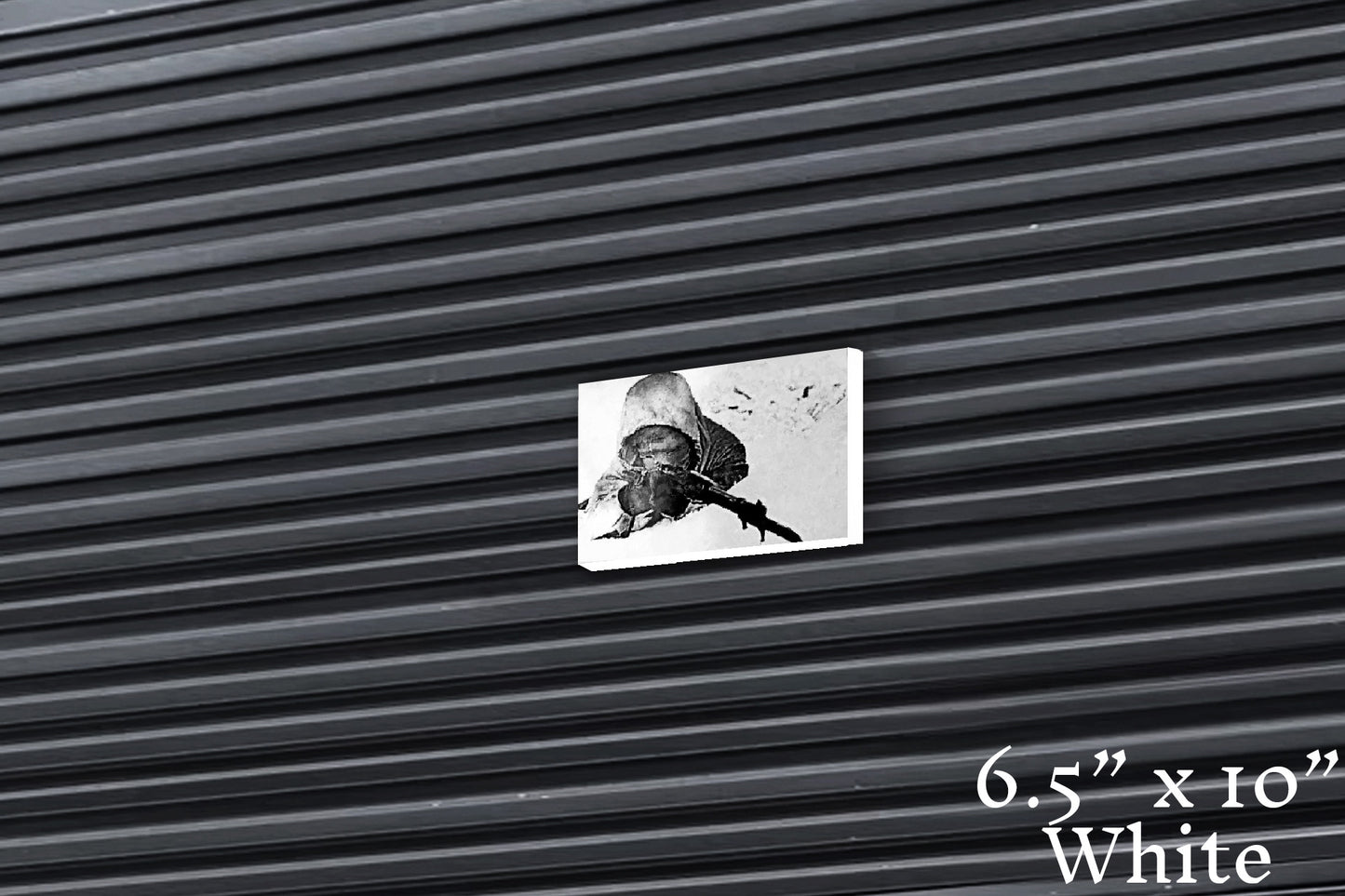 Finnish Reaper - Canvas Print