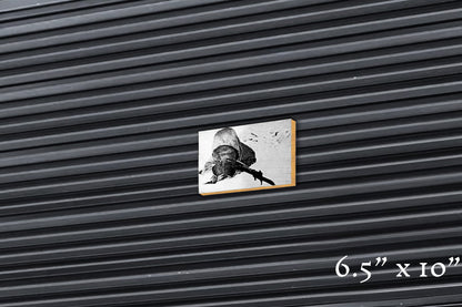 Finnish Reaper - Wood Print