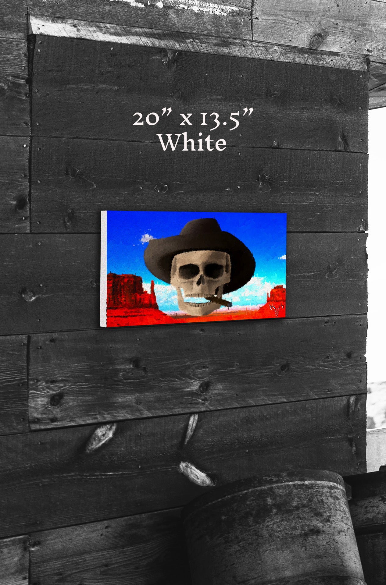 Western Skies and Sand - Canvas Print