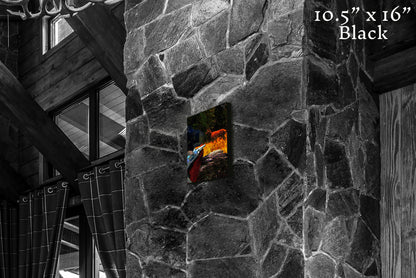 Warrior in the Garden - Canvas Print