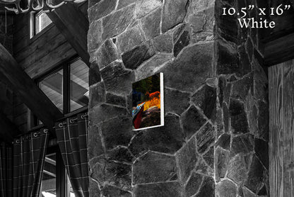 Warrior in the Garden - Canvas Print