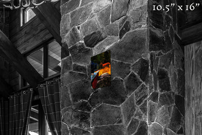 Warrior in the Garden - Metal Print