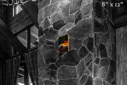 Bad Luck - Wood Print