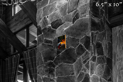 Warrior in the Garden - Wood Print