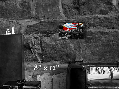 Polish Angels - Metal Print