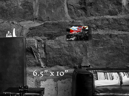 Polish Angels - Metal Print