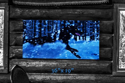 A Frozen Hunt - Metal Print