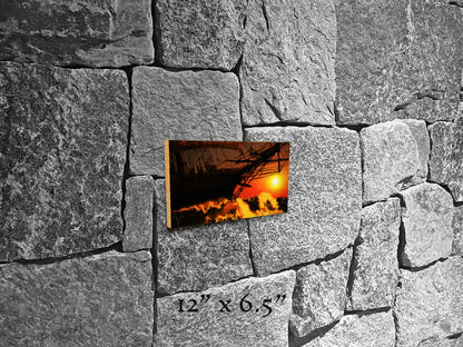 Masts O'er the Horizon - Wood Print