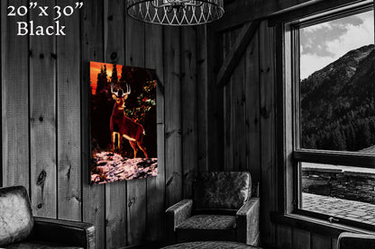 King of the Sunset - Canvas Print