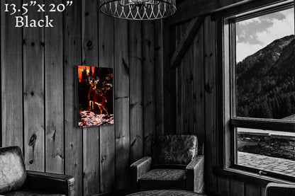 King of the Sunset - Canvas Print