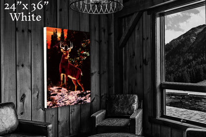 King of the Sunset - Canvas Print