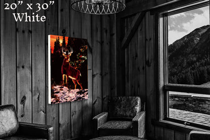 King of the Sunset - Canvas Print