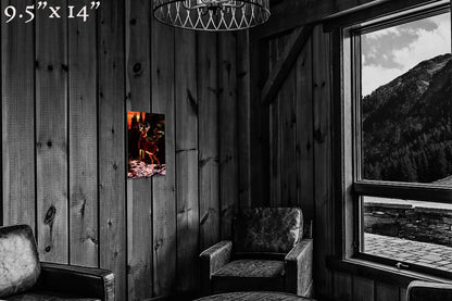 King of the Sunset - Metal Print