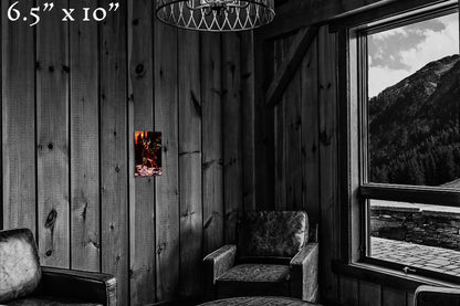 King of the Sunset - Metal Print